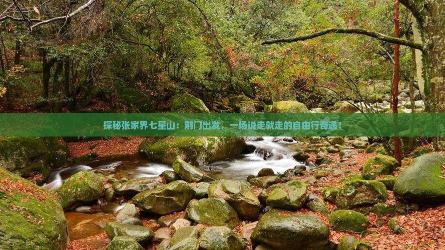 荆门到张家界七星山自由行