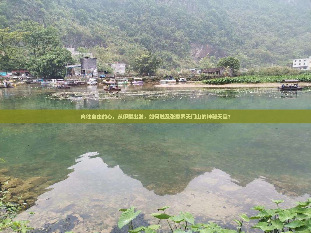 伊犁去张家界天门山旅游