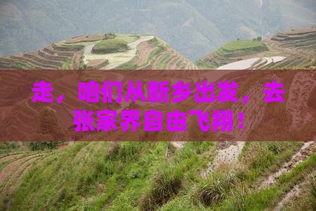 新乡去张家界自由团
