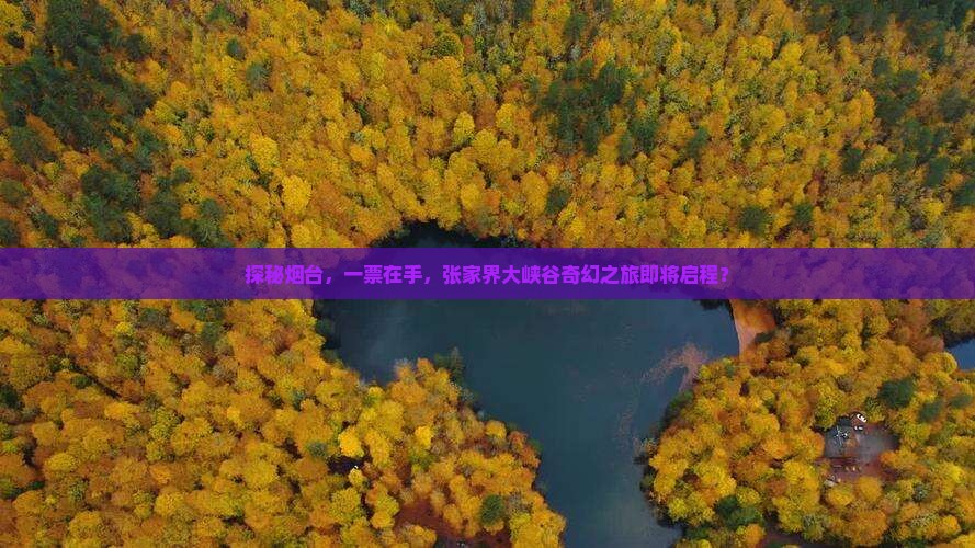 烟台到张家界大峡谷门票