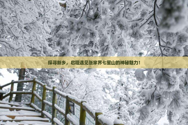 新乡到张家界七星山景点
