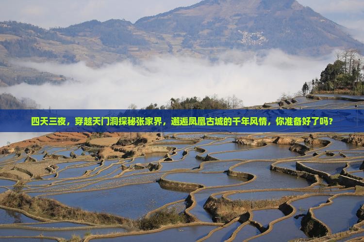 天门去张家界凤凰古城四日游