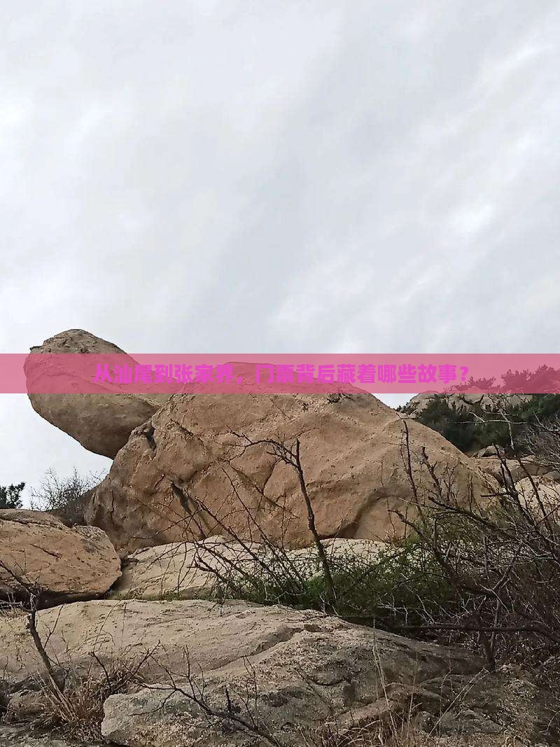 汕尾去张家界门票