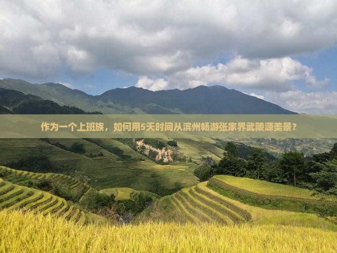 滨州去张家界武陵源旅游