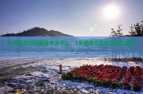 呼伦贝尔到张家界天子山七日游