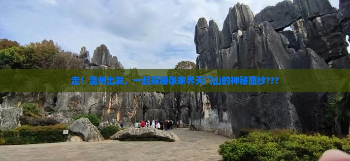 温州去张家界天门山旅行社