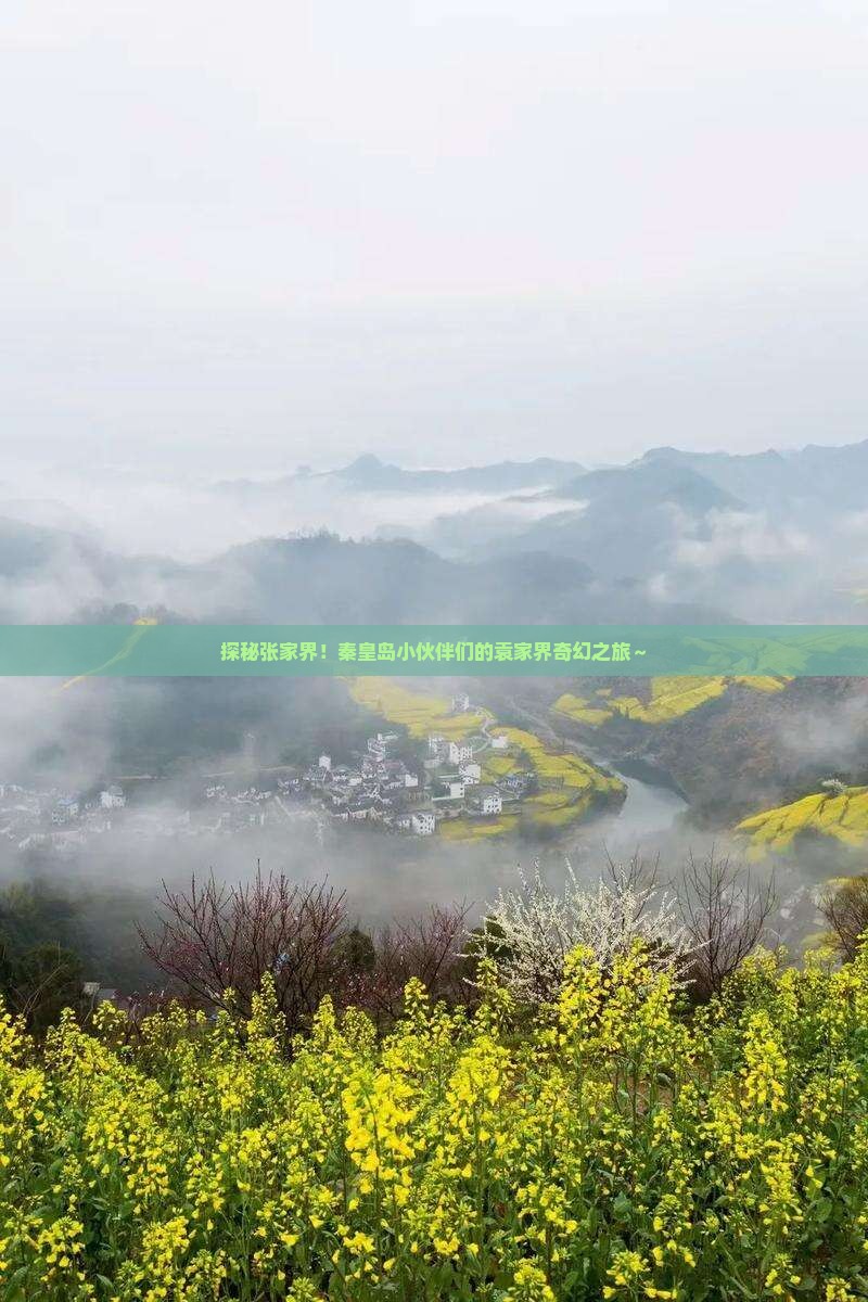 秦皇岛到张家界袁家界大型旅游团