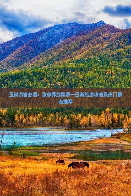 玉树去张家界武陵源一日