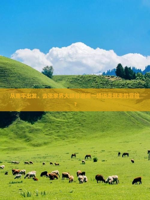 南平到张家界大峡谷自由团