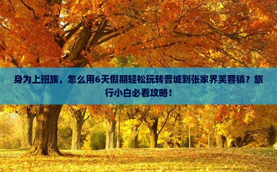 晋城到张家界芙蓉镇六日游