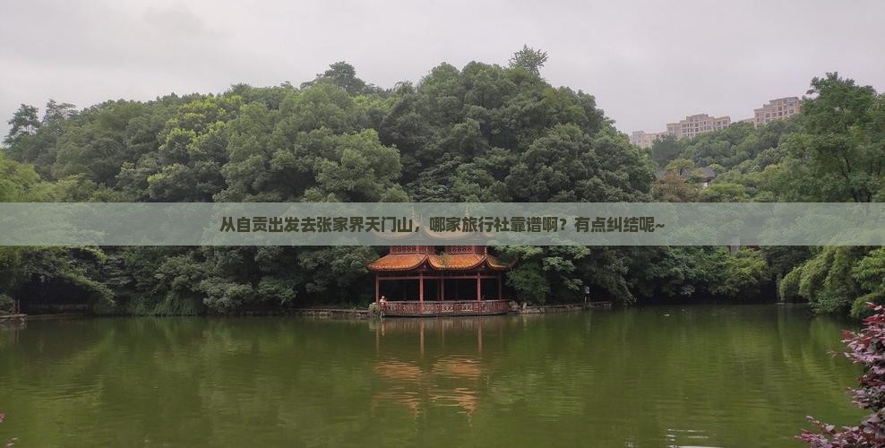 自贡去张家界天门山旅行社
