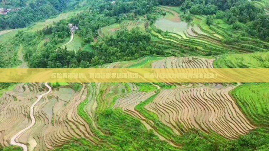 黄南到张家界玻璃栈道旅游小吃