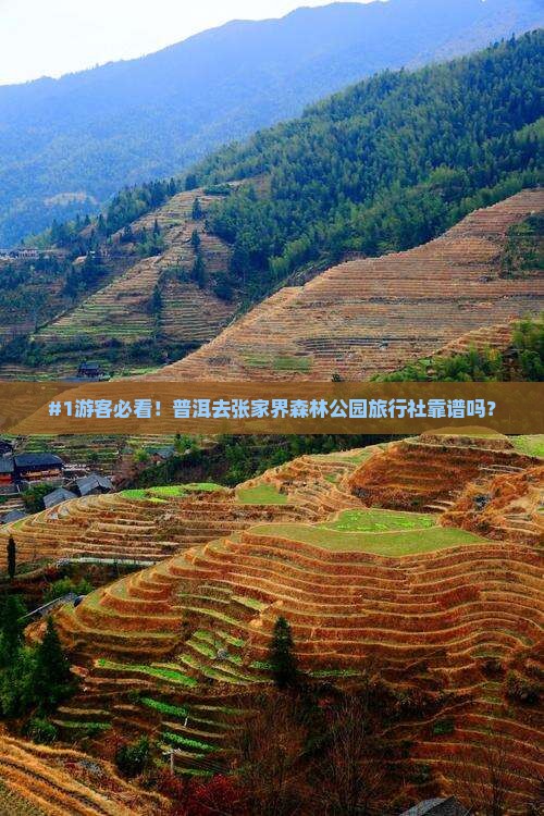 普洱到张家界森林公园旅行社