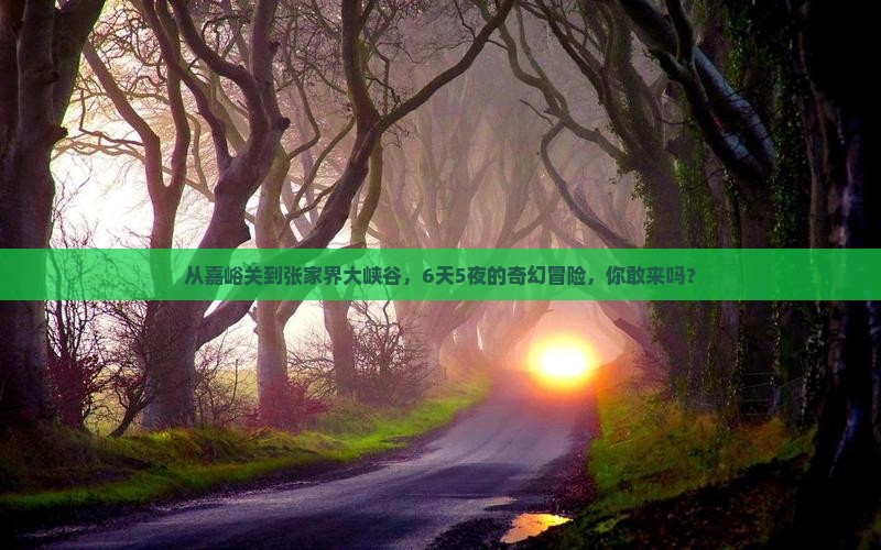 嘉峪关去张家界大峡谷六日游
