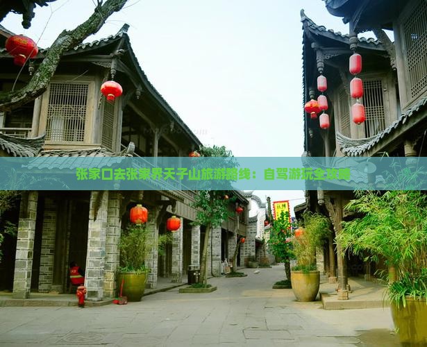 张家口去张家界天子山旅游