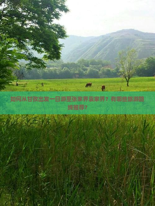 甘孜到张家界袁家界一日