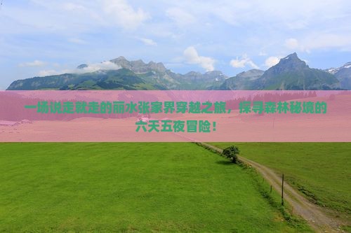 丽水到张家界森林公园六日游