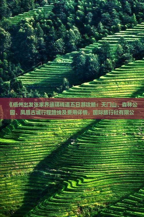 梧州去张家界玻璃栈道五日游