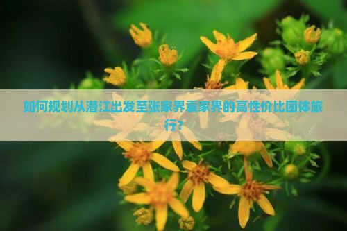 潜江去张家界袁家界团体旅游