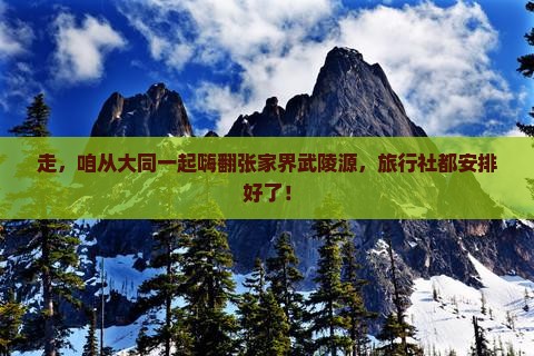 大同去张家界武陵源旅行社