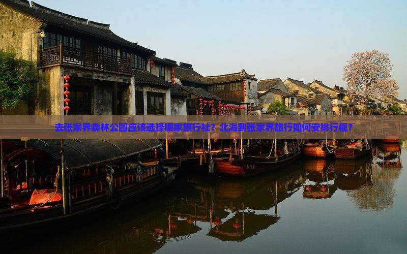 北海到张家界森林公园旅行社