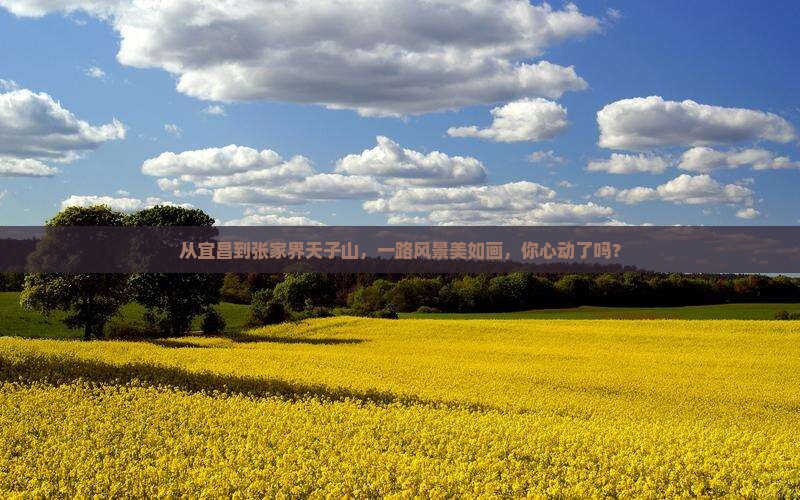 宜昌到张家界天子山哪里玩