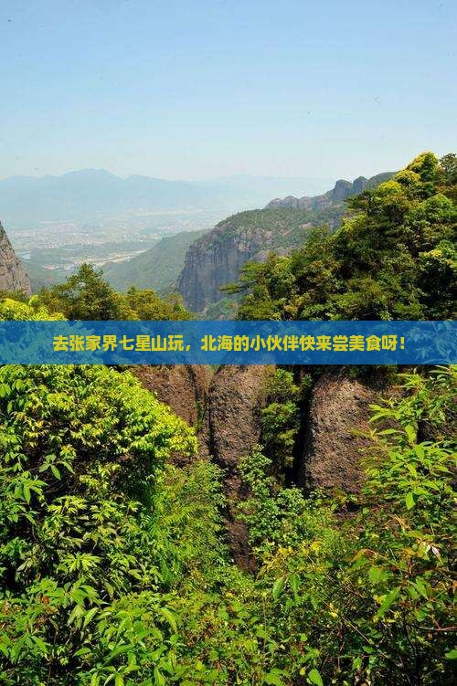 北海去张家界七星山旅游小吃