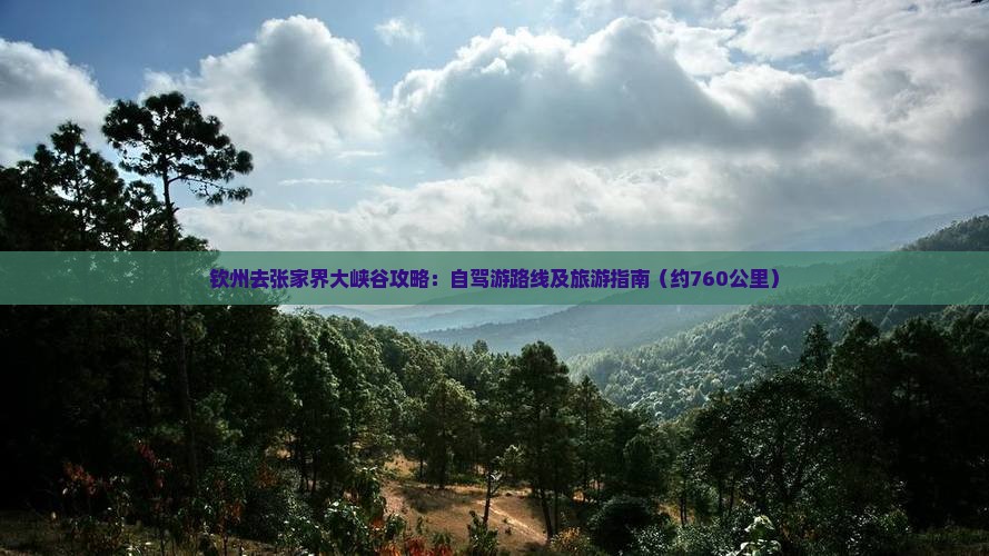 钦州去张家界大峡谷攻略