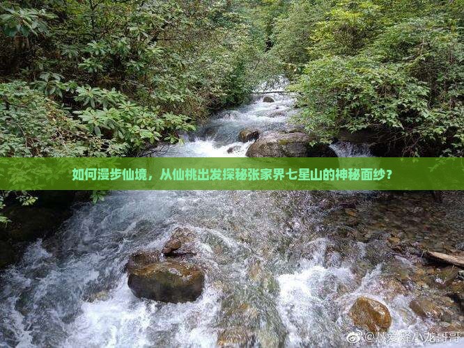 仙桃去张家界七星山攻略