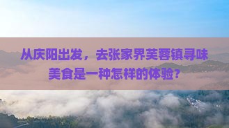 庆阳到张家界芙蓉镇旅游小吃