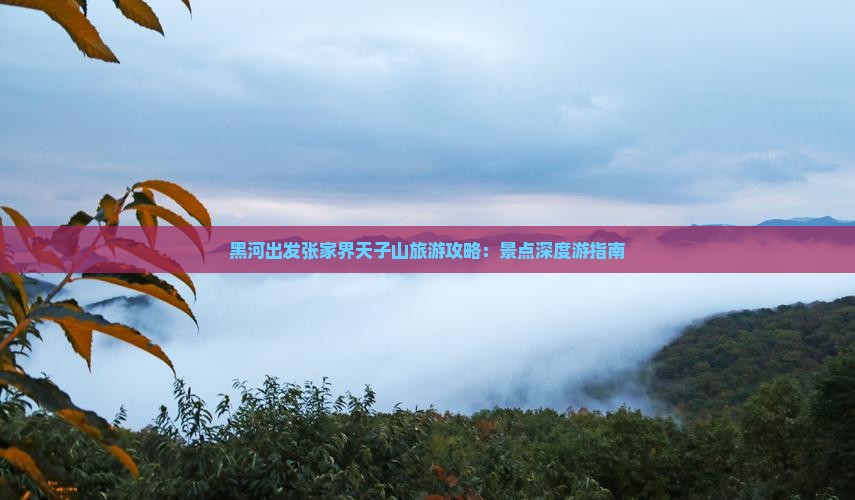 黑河去张家界天子山景点