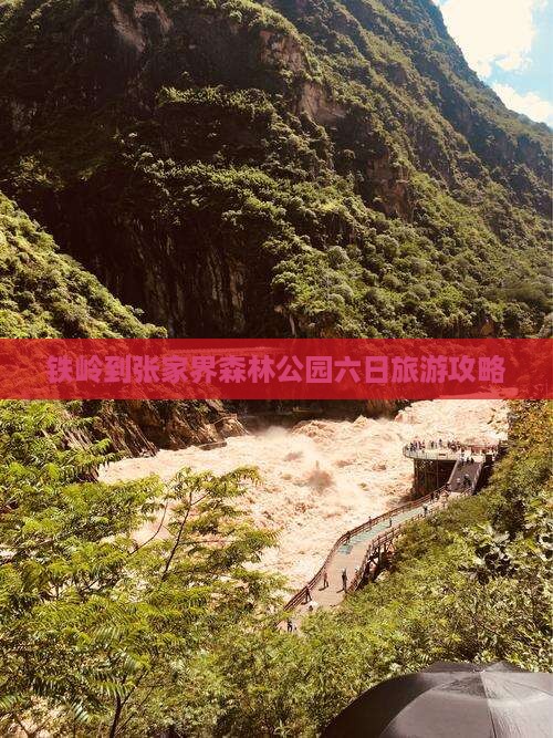 铁岭去张家界森林公园六日游