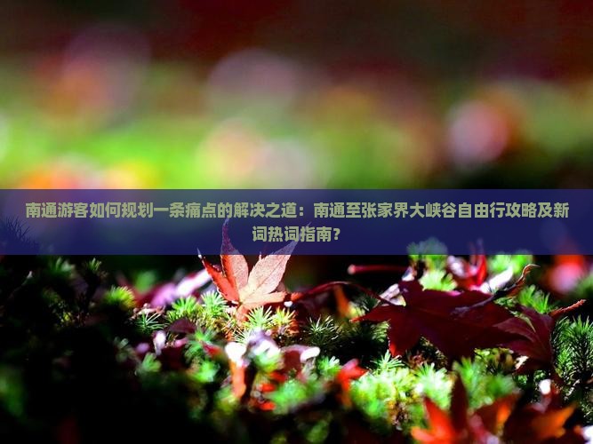 南通到张家界大峡谷自由行