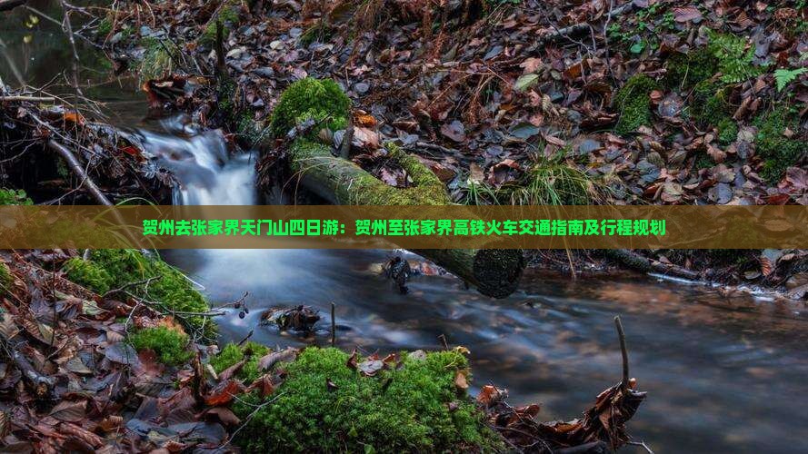 贺州去张家界天门山四日游