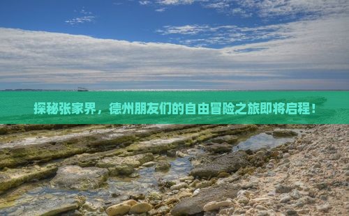 德州去张家界森林公园自由团