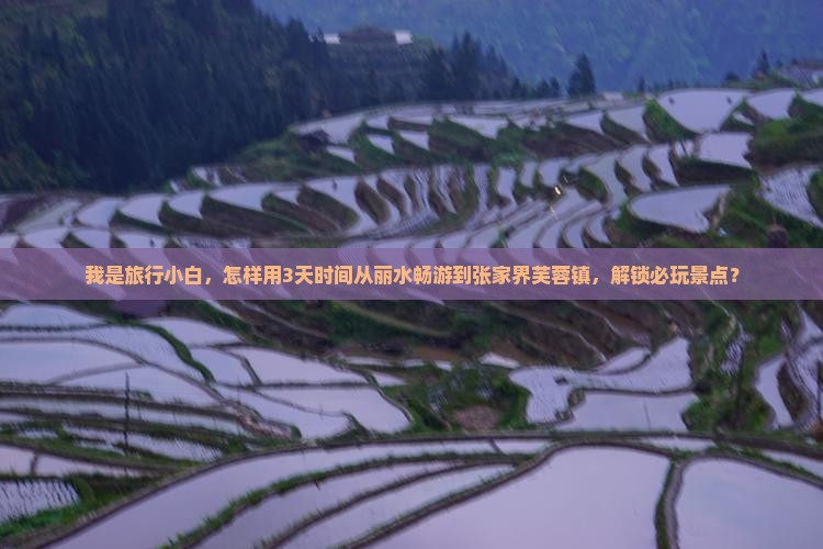 丽水到张家界芙蓉镇三日游