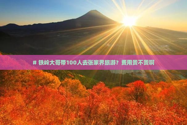 铁岭到张家界大型旅游团