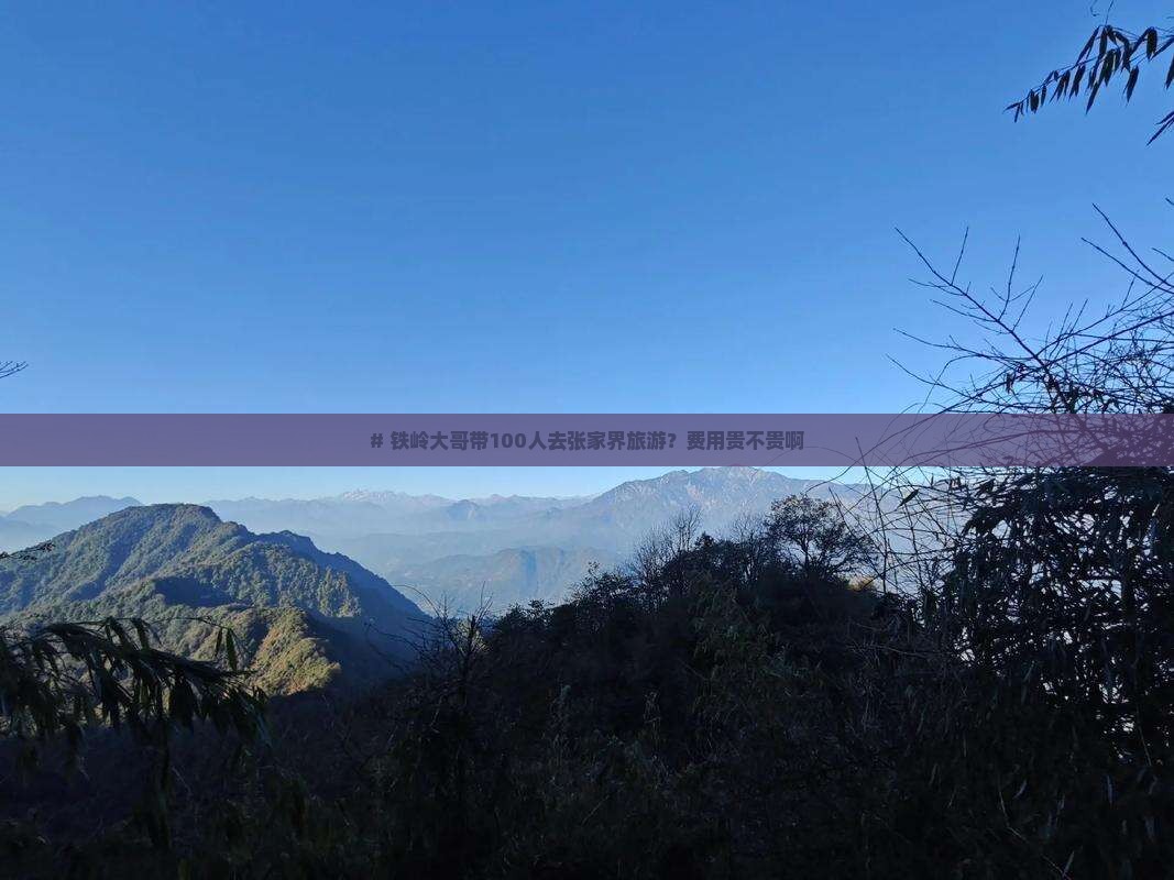 铁岭到张家界大型旅游团