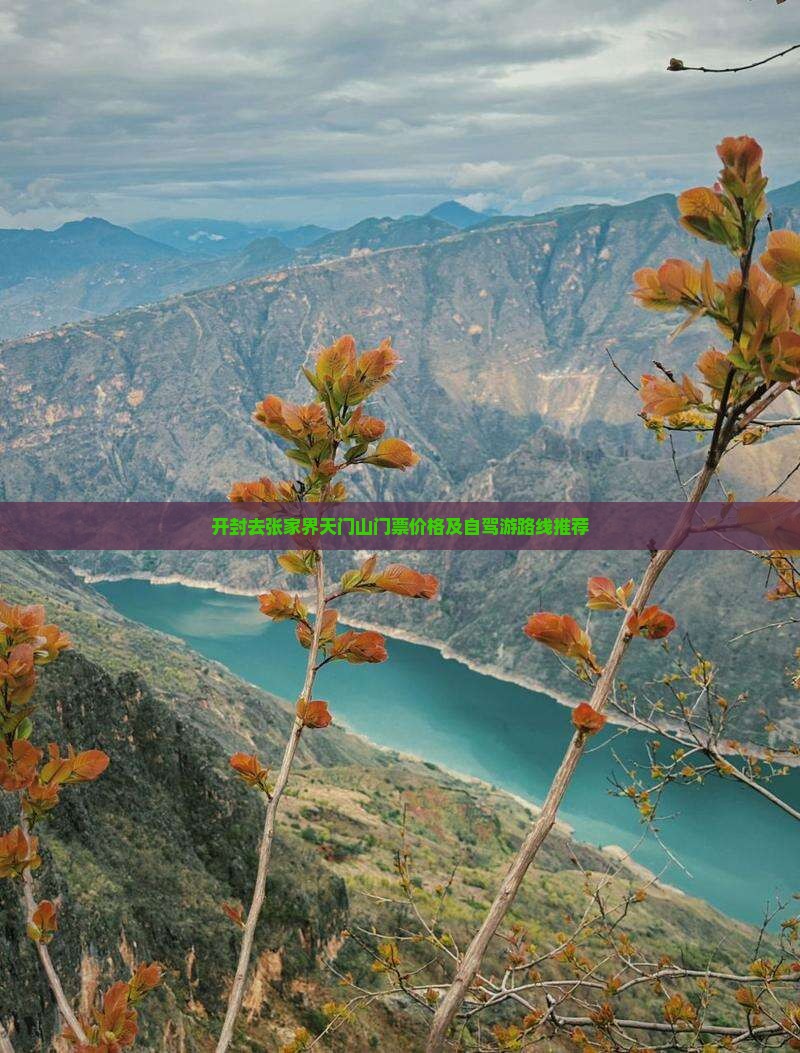 开封去张家界天门山门票