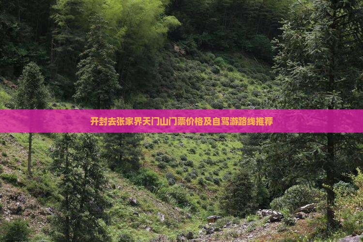 开封去张家界天门山门票