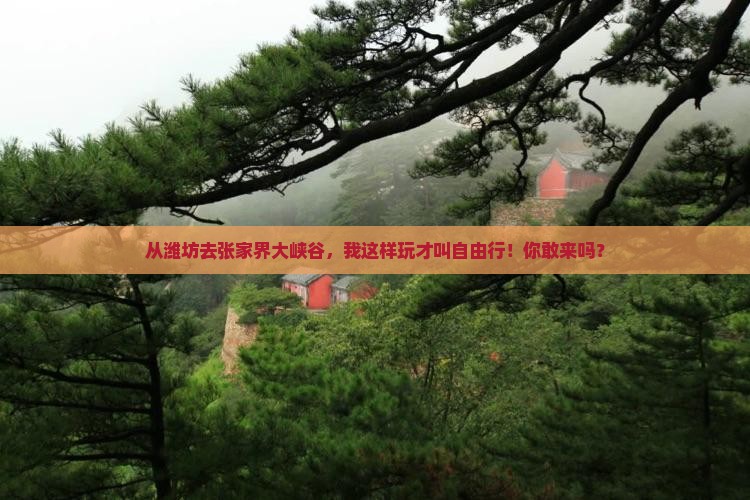 潍坊到张家界大峡谷自由行