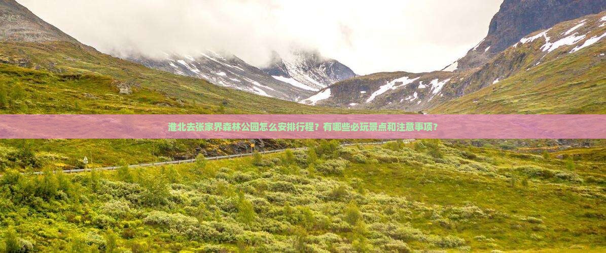 淮北去张家界森林公园哪里玩