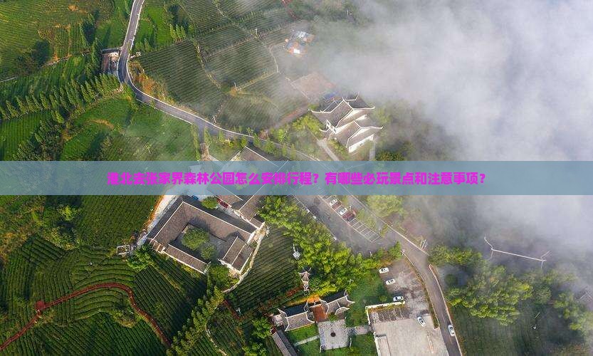 淮北去张家界森林公园哪里玩