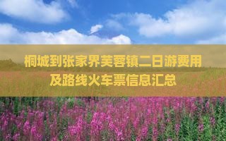 桐城到张家界芙蓉镇二日游
