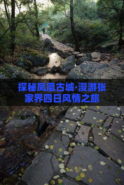 库尔勒到张家界凤凰古城四日游