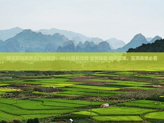 保定到张家界天门山旅游 保定到张家界天门山旅游