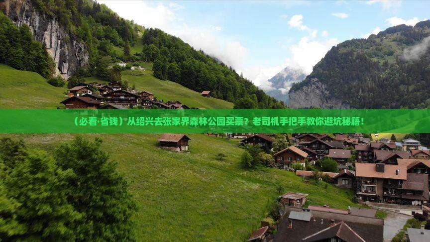绍兴去张家界森林公园门票