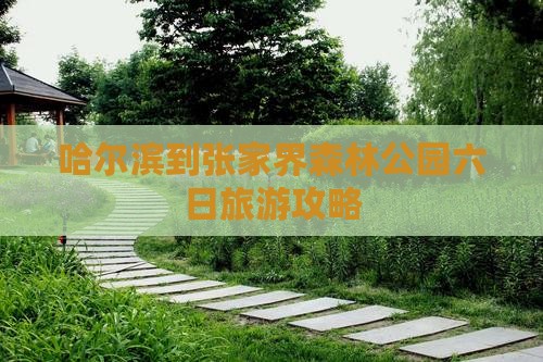 哈尔滨到张家界森林公园六日游