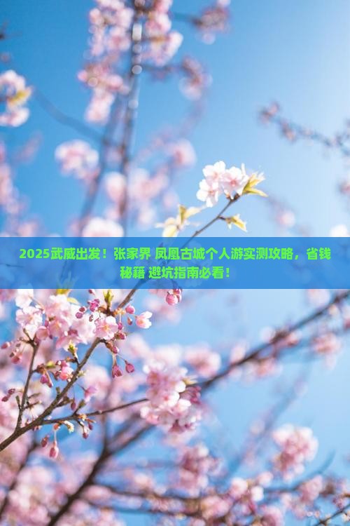 武威去张家界凤凰古城个人游
