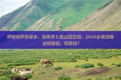伊犁哈萨克去张家界七星山四日游
